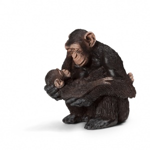 Scimpanzé Femmina con Cucciolo